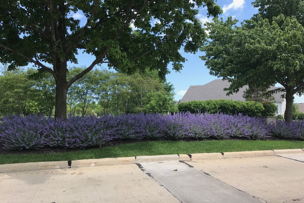 great house landscaping ideas