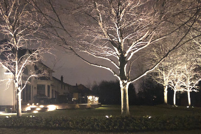 Outdoor lighting by Frate Landscaping